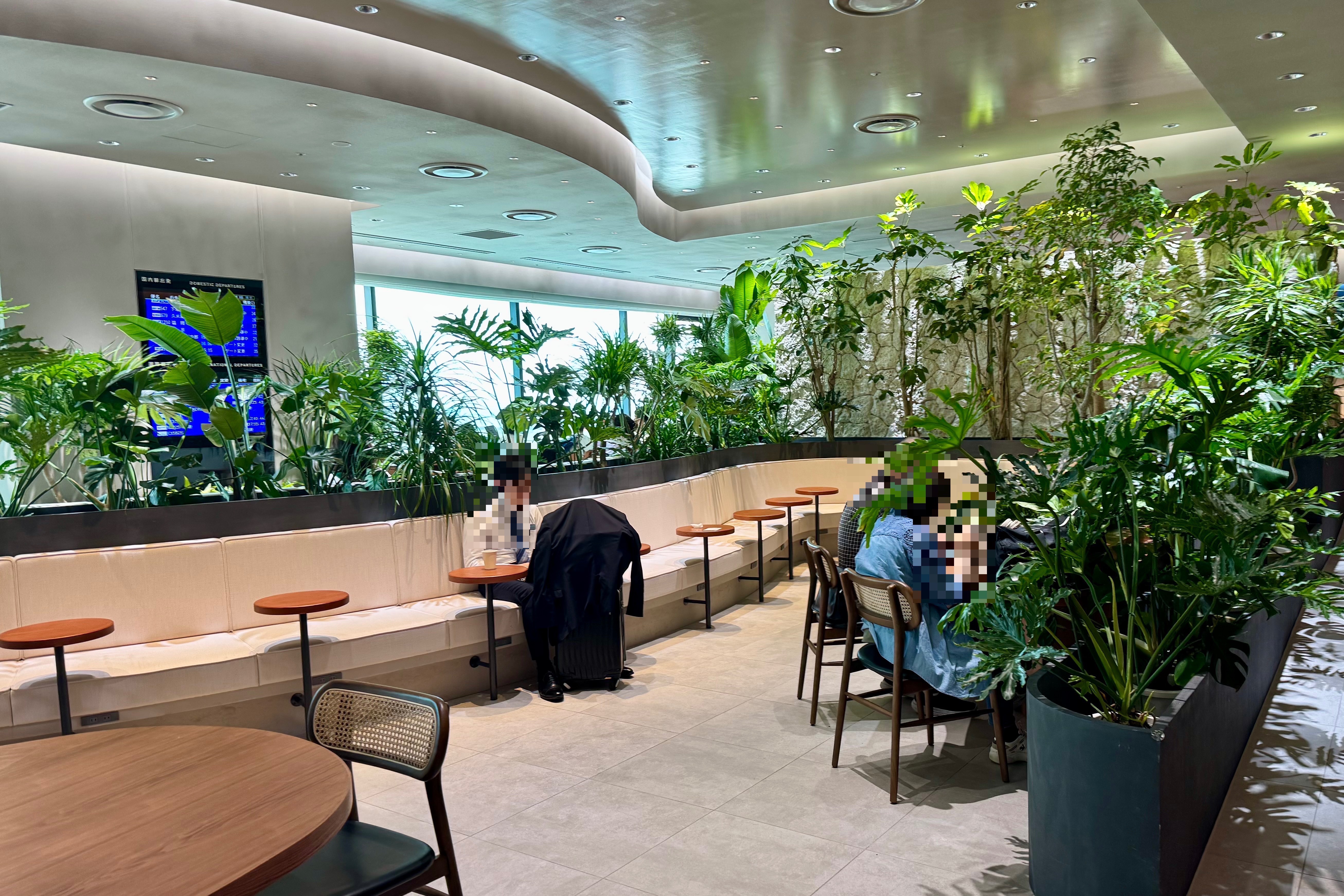 seat of the lounge